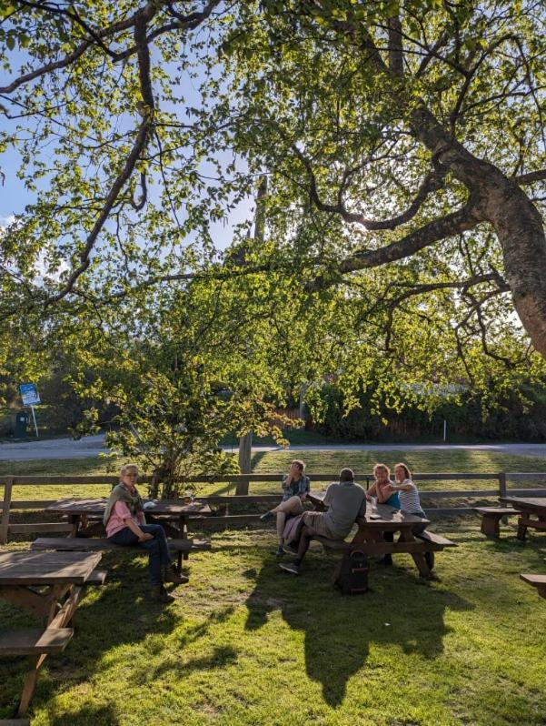Weldborough Hotel Eksteriør bilde