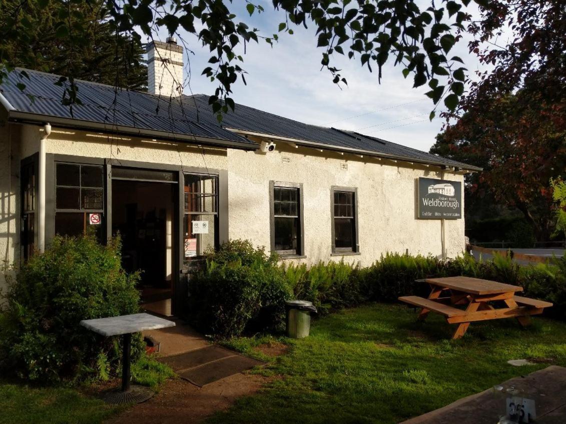 Weldborough Hotel Eksteriør bilde